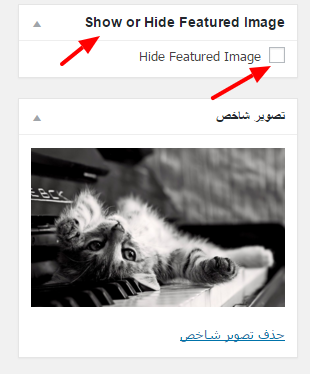 hide_feature_image_hamyarwp.com_